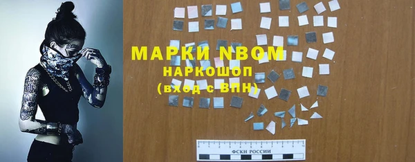 стаф Балахна