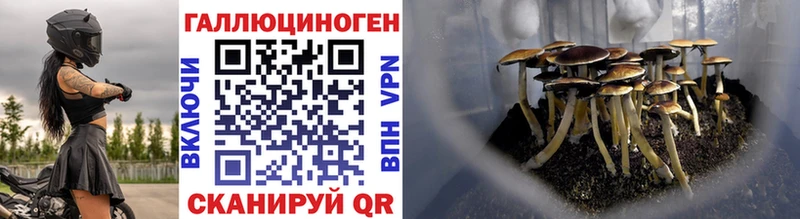 Псилоцибиновые грибы прущие грибы  дарнет шоп  Козельск 